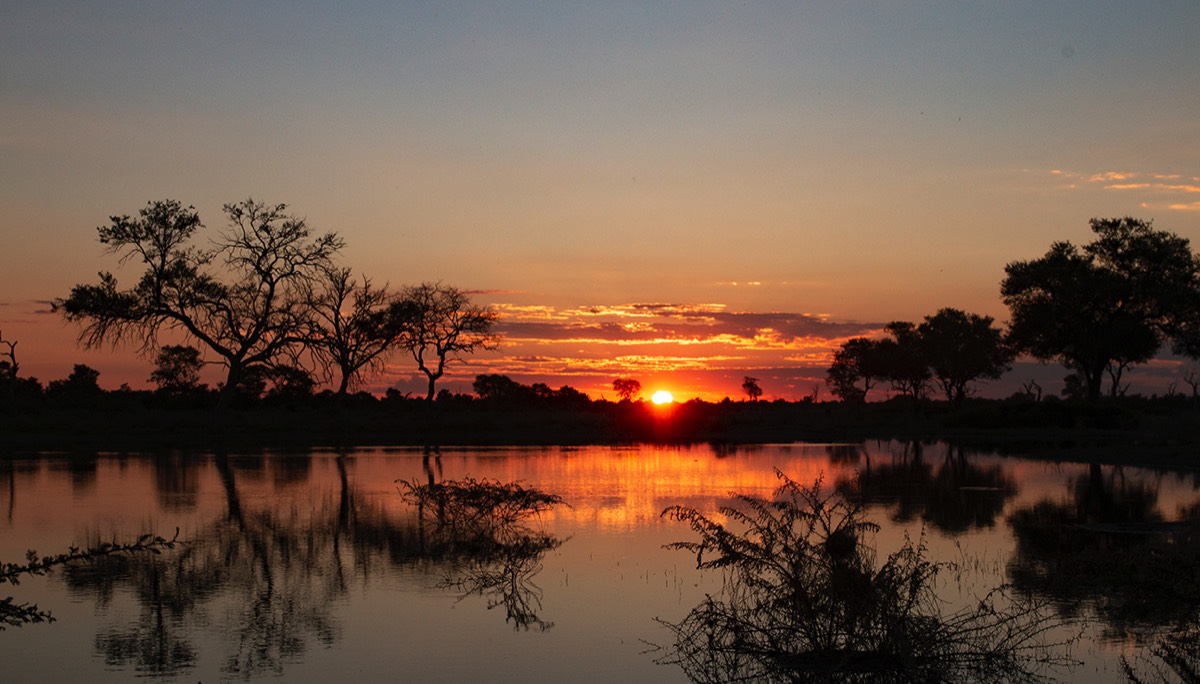 African Sunset - Okavango Delta in Botswana